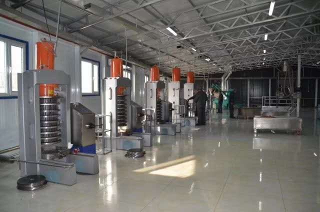Hydraulic oil press line at a bright customer oil mill