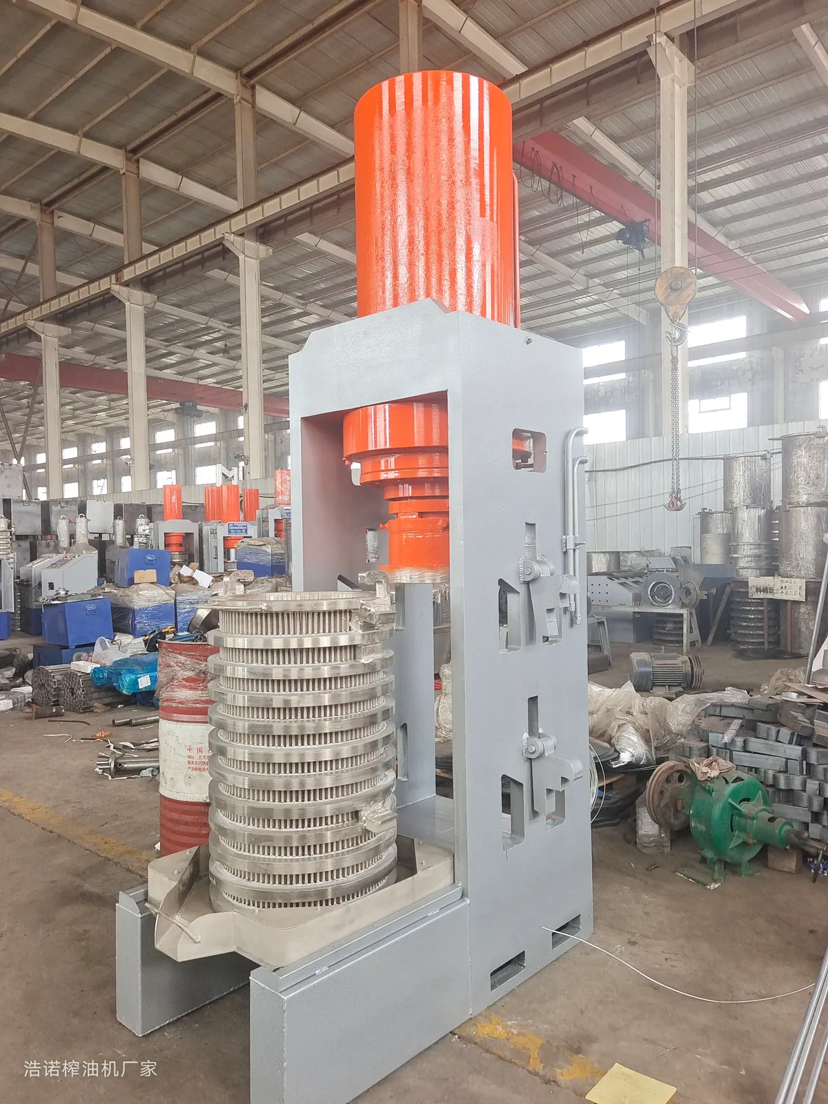 Cold Pressed Oil Market in 2026: Why More Mills Are Switching from Hot to Cold